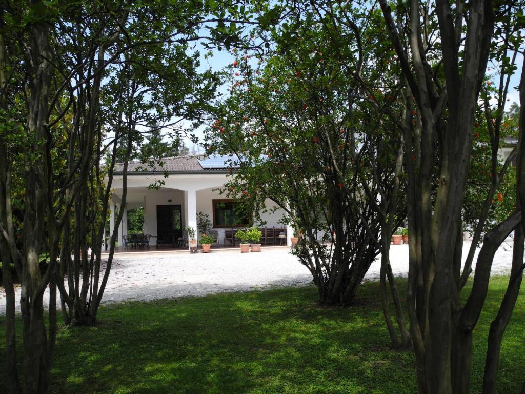 B&B Villa Miani Silea Екстериор снимка